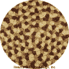 Brown/Beige/Oatmeal Braid Color, Small Image
